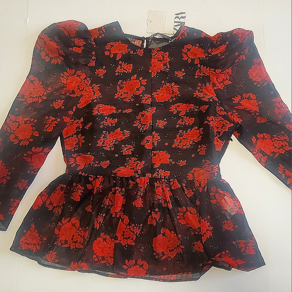 Zara Red Floral Sheer Top